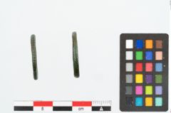 Foto von Bronzering (NHMW-PRAE-026240)